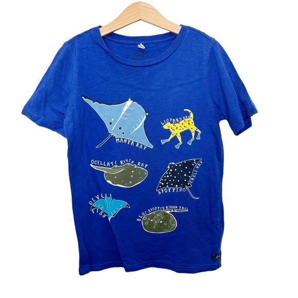Joules Sea Creature Tee - Picture 1 of 4